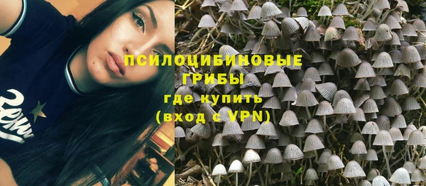 соль курить ск Дмитровск