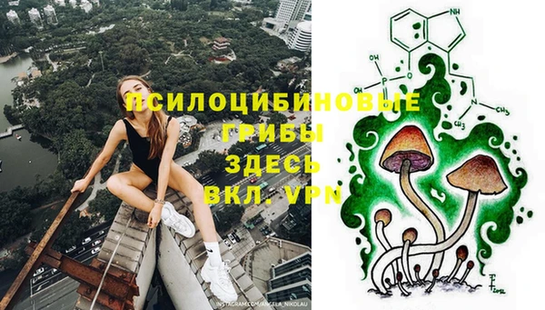 не бодяженный Дмитриев