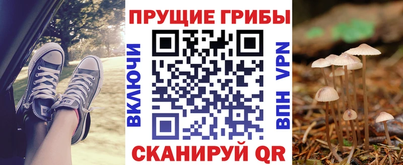 Псилоцибиновые грибы Psilocybine cubensis  Купить закладки  Каменка 